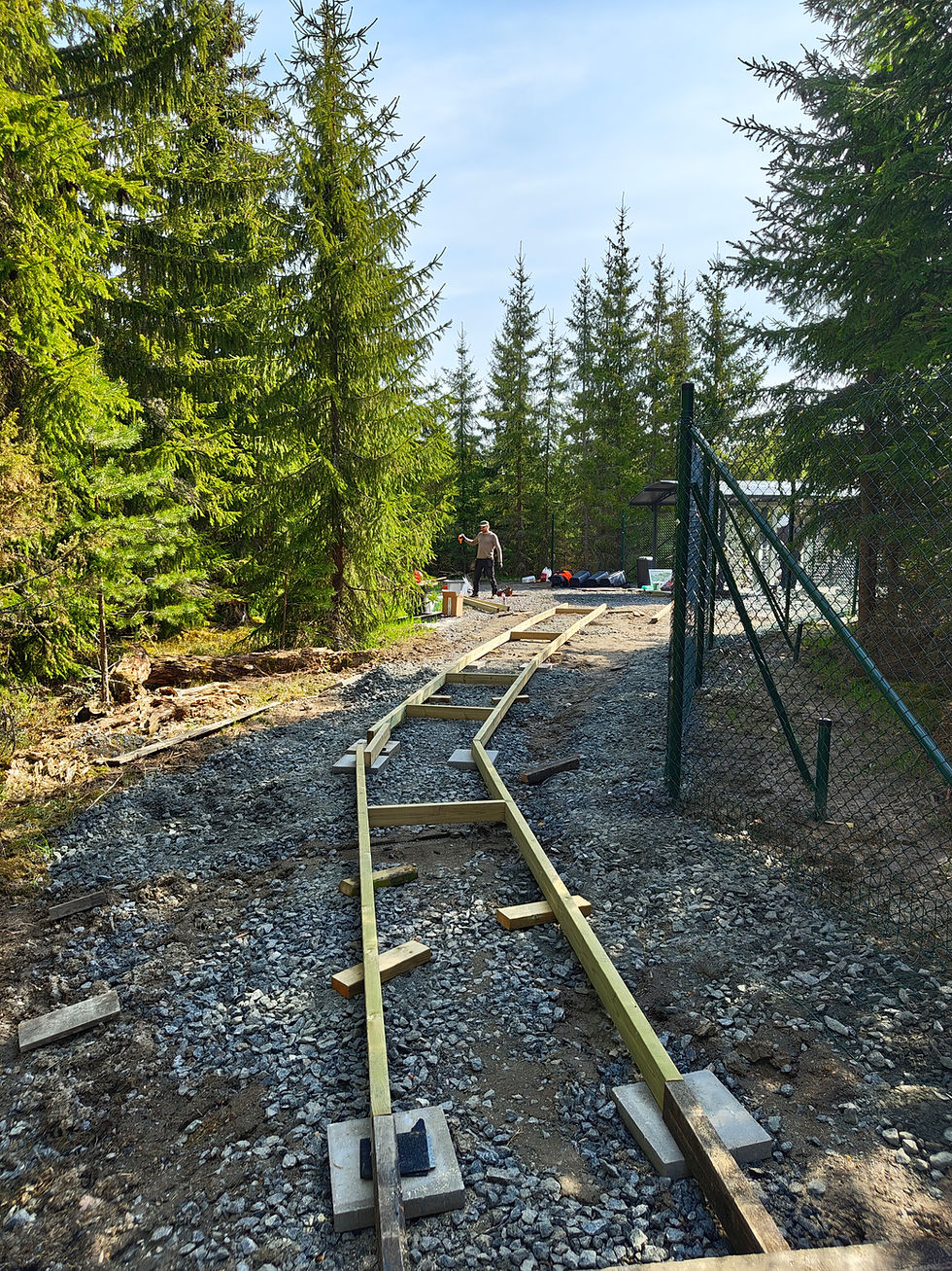 Synttäritarjous 17.5.2026