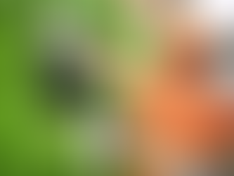 Prefeitura diz que apoia investigações da Polícia Federal e que encerrou contrato com a Mamute