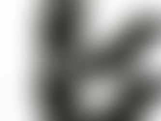 Prefeitura homologa licitação para instalar ‘corujinhas’ em Manaus