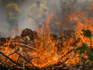 Amazônia tem 794 focos de queimadas em 2 dias e acende alerta climático