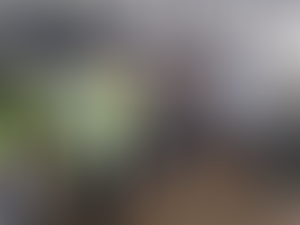 Estaleiro que mais emprega no AM vai passar a investir na formação de profissionais, criando Instituto