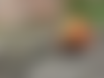 Prefeitura desobstruiu 900 bueiros em Manaus no mês de março