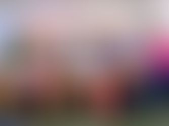 Influenciadora polêmica, sindicalista, delegado, deputados e vereadores compõem a chapa do Avante para disputar vagas na Assembleia Legislativa