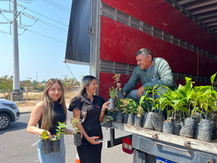 Prefeitura de Manaus realiza plantio em área degradada por incêndio em alusão ao Dia da Amazônia