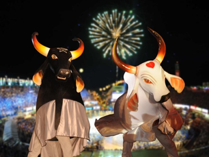 Pessoas com deficiência e acompanhantes terão acesso gratuito ao Festival de Parintins