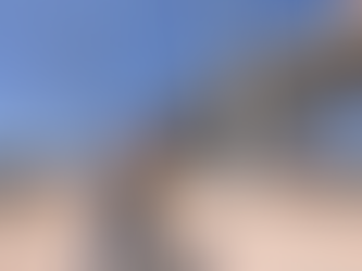 Prefeito de Manaus lança Plano de Governo para o segundo mandato. 