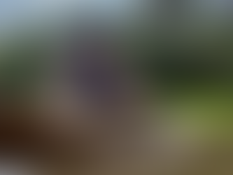 Conab debate manejo do pirarucu para ampliar produção no Amazonas