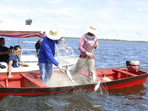 Governo Federal começa série de entrevistas com pescadores, inclusive no Amazonas, para saber quem tem de fato direito de receber o seguro-defeso, alvo de várias denúncias
