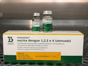 Amazonas suspende vacinação contra a dengue depois que Anvisa suspendeu vacina do Instituto Butantan, que teria causado duas mortes
