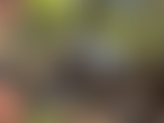 Policiais brasileiros participam de operação que inutilizou laboratórios de produção de cocaína e apreendeu até helicóptero usado pelo tráfico no Peru