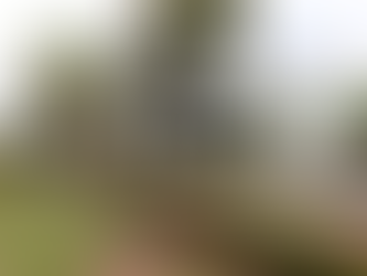 Parcela do 13º salário de servidores do Estado será paga nos dias 18 e 19