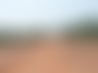 Justiça Federal suspende decisão que impedia obras na BR-319