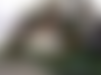 Ultrapassando a marca de mais de 3 milhões de visitantes, Gigantes da Floresta é o maior parque de lazer e inclusivo da Prefeitura de Manaus