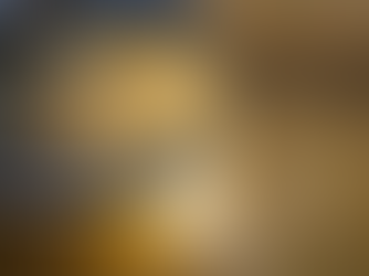 Justiça Federal manda IPAAM parar de expedir licenças para atividades de mineração em unidades de conservação