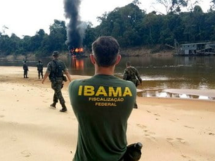 Equipe do Ibama sobre emboscada e tem veículo incendiado em ação de combate à exploração ilegal de madeira em terra indígena do Sul amazonense