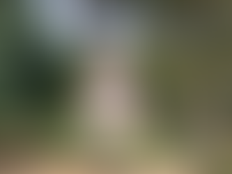 Reportagem acusa Plínio Valério de ter invadido terras do Tupé e construído casa de veraneio 