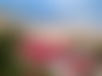 Prefeitura anuncia megaprogramação do Dia do Trabalhador e entrega de instalações da Casa de Praia