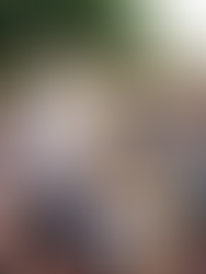 BICA abandona de vez os enredos políticos e adota temas regionais, começando pelo tambaqui