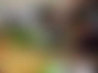 Curso de economia divulga preço da cesta básica em zonas diferentes de Manaus