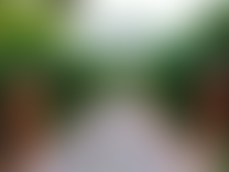 Ufam conta com 2.439 vagas disponíveis para o Sisu