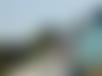 David anuncia decreto de emergência em Manaus por causa da estiagem: “caminha para ser a maior da história”