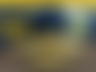 Carregamento grande de ouro ilegal, que veio de Rondônia, atravessou o Amazonas sem fiscalização e foi apreendido pela PRF nas proximidades de Boa Vista, em Roraima, a caminho da Guiana