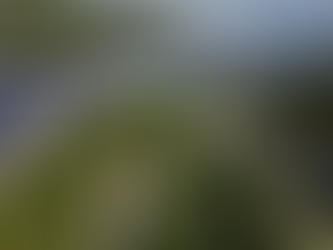 Defensoria do Amazonas promove ciclo de palestras sobre o projeto ‘Cinturão Verde’