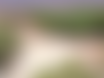 Prefeito decreta emergência em Manaus devido à estiagem severa