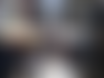 Chineses na economia do Amazonas é tendência dos próximos anos