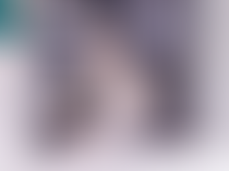 Prefeitura de Manaus divulga calendário para castração de cães e gatos