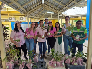 Prefeitura distribuiu mais de 10 mil mudas no primeiro quadrimestre de 2026 por meio do programa ‘Manaus Verde’