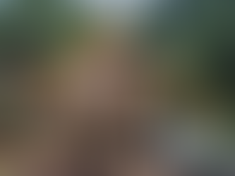 Governo do Amazonas diz, em ação movida pelo Ministério Público, que não vai recuperar a estrada que liga Manicoré a Manaus: “local difícil e baixo uso”