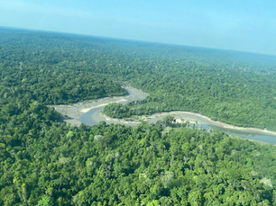 MPF processa prefeitura no Amazonas por contrato de crédito de carbono