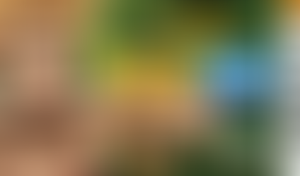 Manaus tem 200 mil sob risco de perder Bolsa-Família