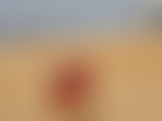 Prefeitura de Manaus anuncia interdição da Ponta Negra devido à seca severa