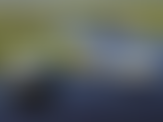 Símbolo do turismo de selva no AM, Hotel Ariaú tem falência decretada