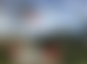 Novo comando da Suframa só deve ser nomeado após as eleições dos presidentes da Câmara e senado