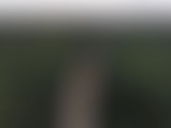 DNIT alega seca dos rios no AM e libera veículos pesados na BR-319