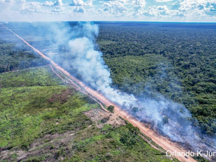 Wilson Lima conversa com o ministro dos Transportes sobre o relatório de pavimentação da BR-319 e elogia GT