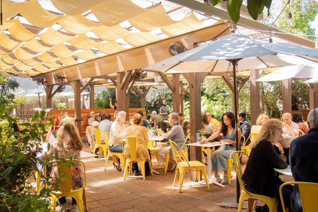 Sunflower Caffe & Sushi