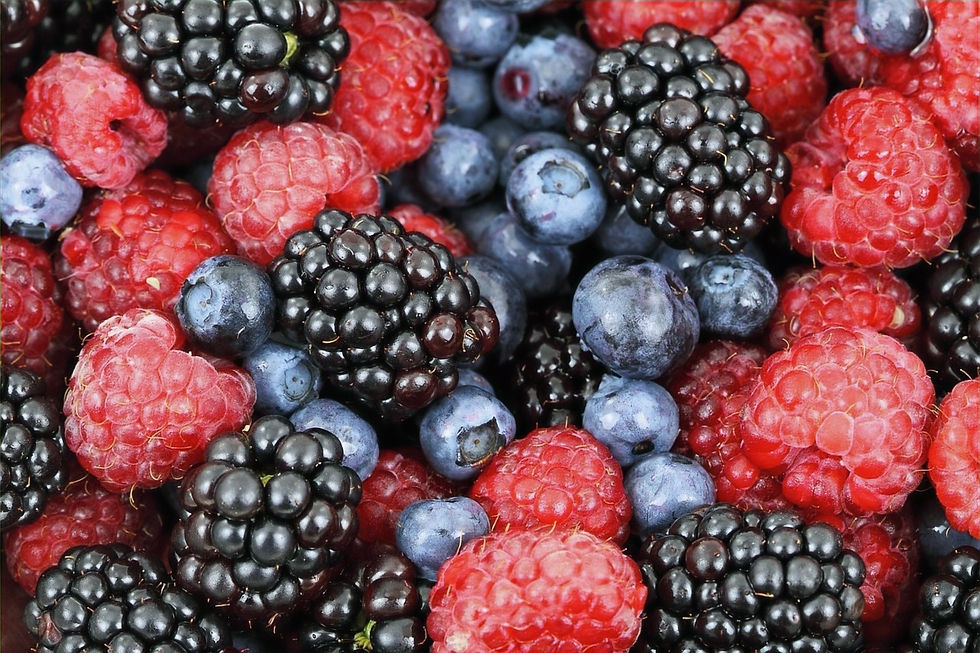 berries-2277_1280_edited.jpg