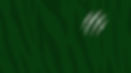 Tiger Claw.jpg