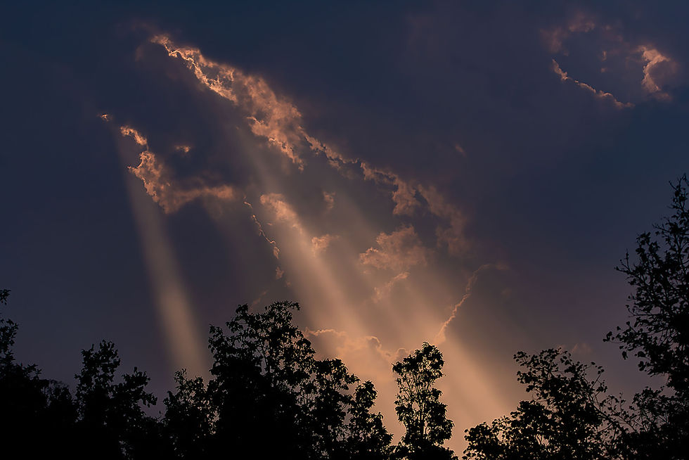 Cloudy Evening at Churna, Satpura
