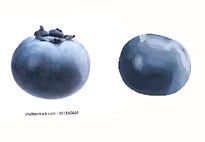 blueberry basic shading