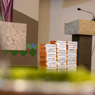 Assembleia-61.jpg