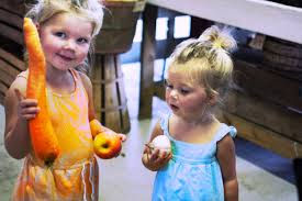 Alimetazione scolatica