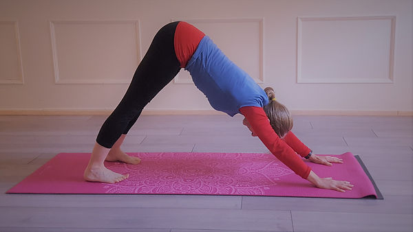 Downward Facing dog.jpg