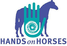 Equine Muscle Release Therapy