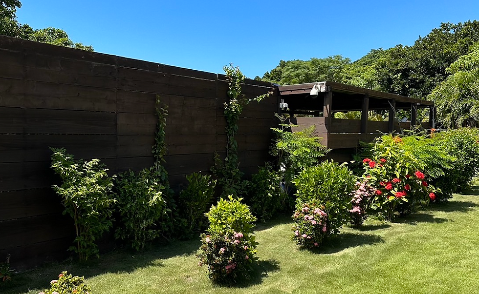 竹富島にあるご実家の宿