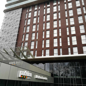 hilton.jpeg